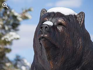 Bronze bear covered with snow